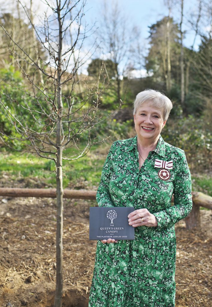 Carol Bundock - Deputy Lieutenant of Norfolk Planting a tree