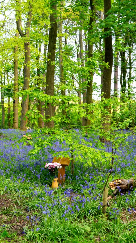 Final Resting Place