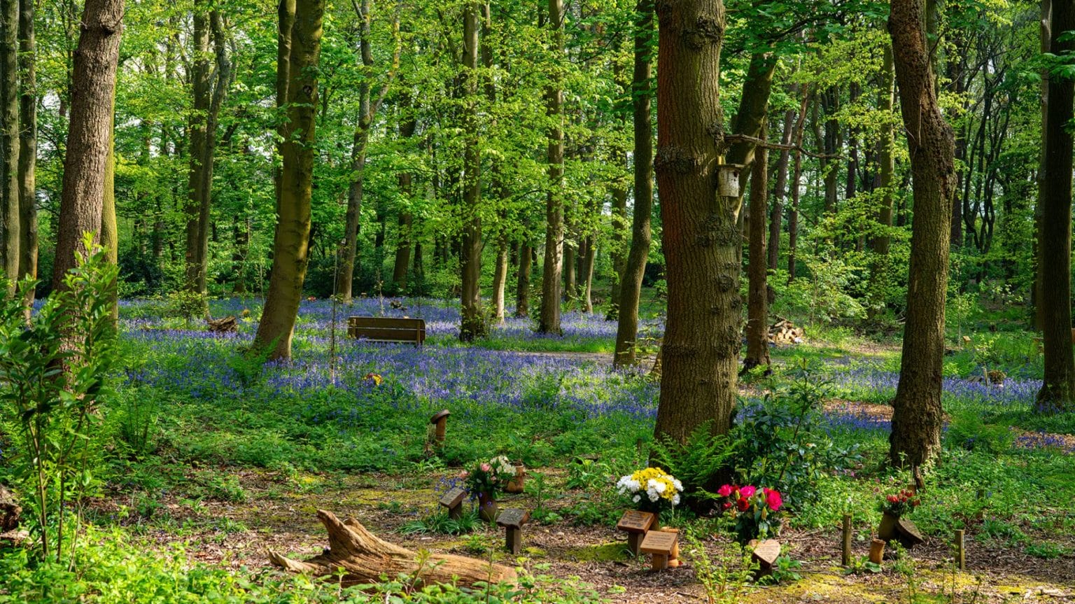 Living Memorial Parks for Eco-Friendly Funerals | GreenAcres