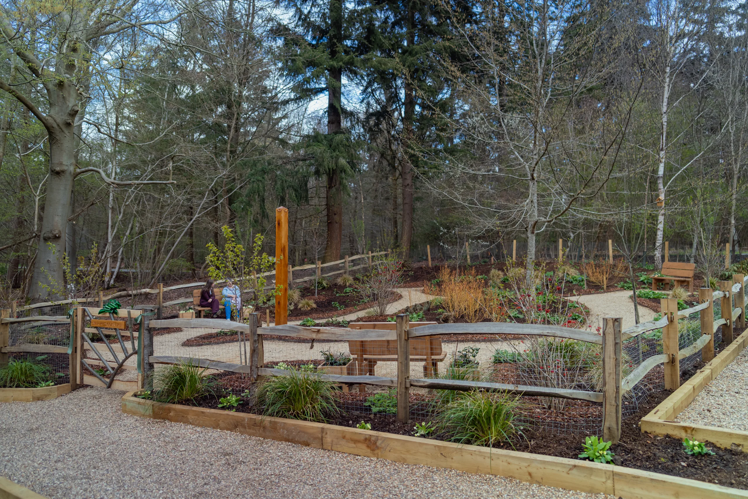 Landscaped memorial garden with winding pathways, seating and surrounding woodland at GreenAcres Chiltern Park.