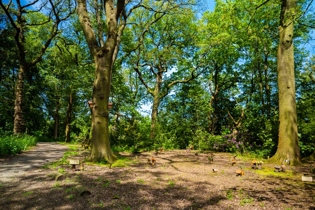 Tree Circle memorial within the Woodland Park Experience at GreenAcres, surrounded by mature trees and natural woodland.