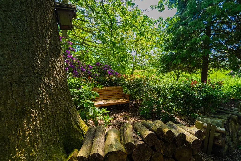 Woodland Bay within the Woodland Park Experience at GreenAcres, surrounded by mature trees and peaceful woodland.