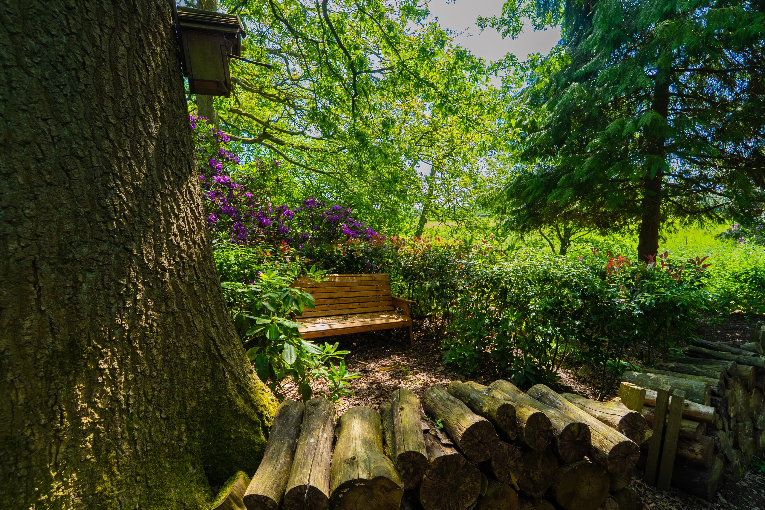 Woodland Bay within the Woodland Park Experience at GreenAcres, surrounded by mature trees and peaceful woodland.