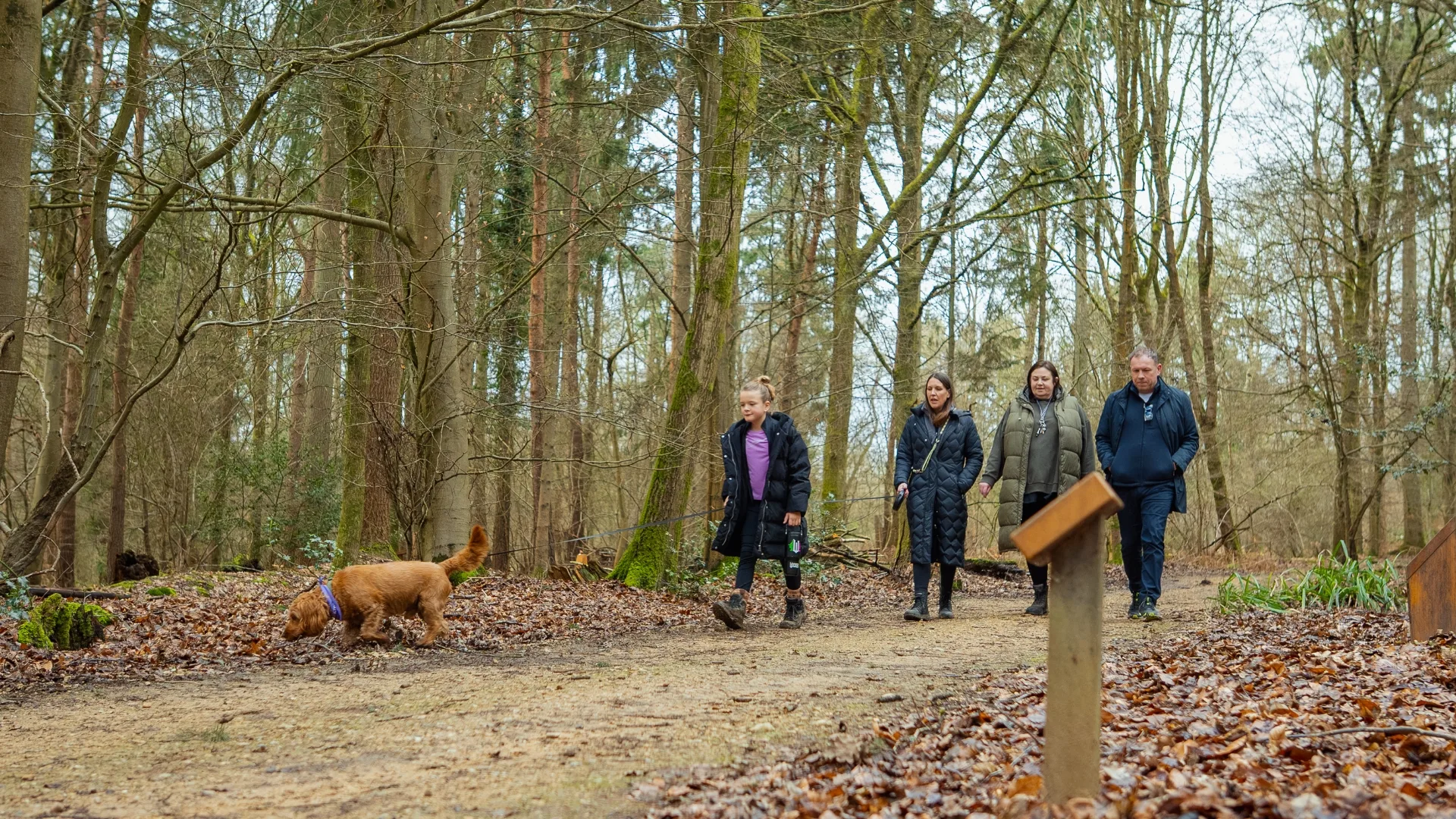 Exploring the grounds at GreenAcres